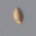 UFO/OVNI captured on film over Tijuana, Mexico
