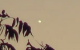 Luminous daylight UFO seen over Seminole, Oklahoma