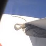 Reptile caught on film by passenger on Qantas flight from Cairns to Papua New Guinea